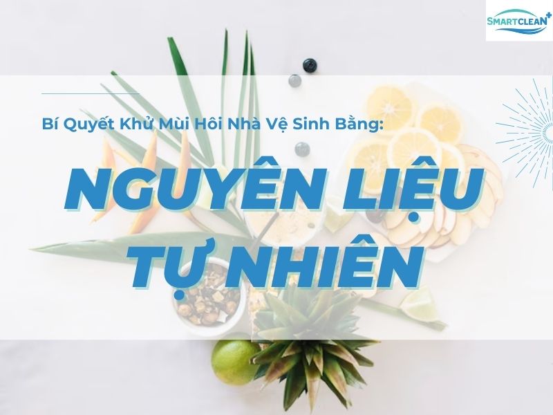 CÁCH KHỬ MÙI HÔI NHÀ VỆ SINH BẰNG NGUYÊN LIỆU TỰ NHIÊN