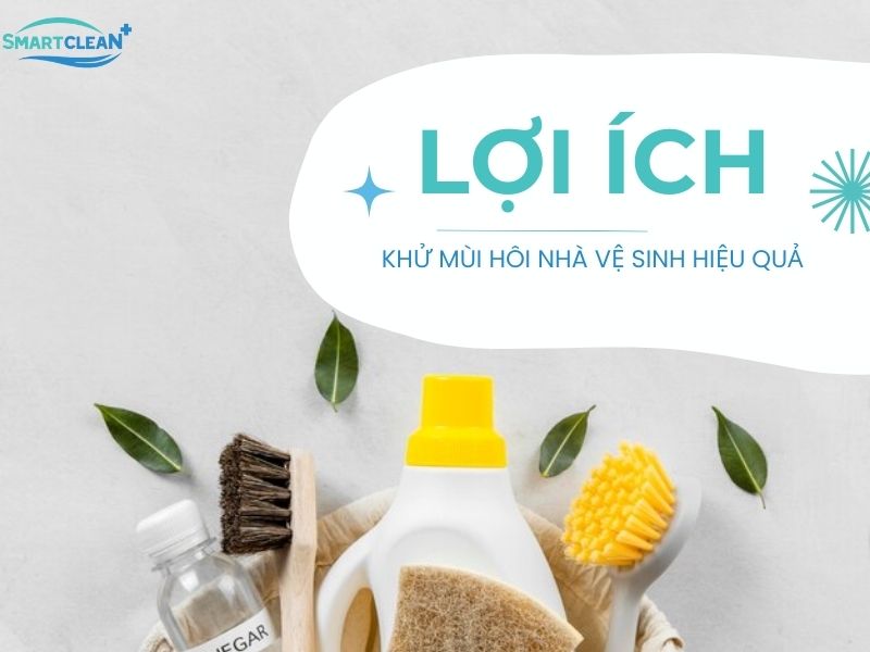 LỢI ÍCH CỦA VIỆC KHỬ MÙI HÔI NHÀ VỆ SINH BẰNG PHƯƠNG PHÁP TỰ NHIÊN