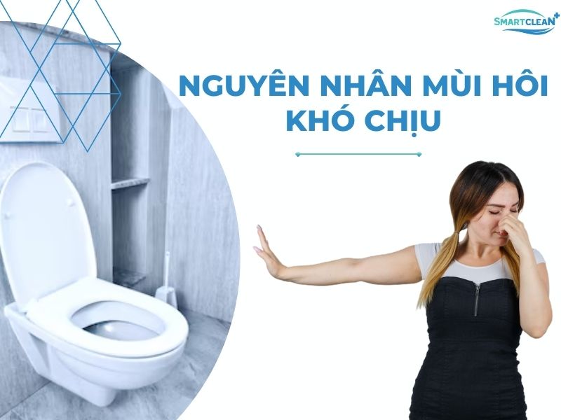 NGUYÊN NH N MÙI HÔI KHÓ CHỊU KHI KHÔNG KHỬ MÙI HÔI NHÀ VỆ SINH