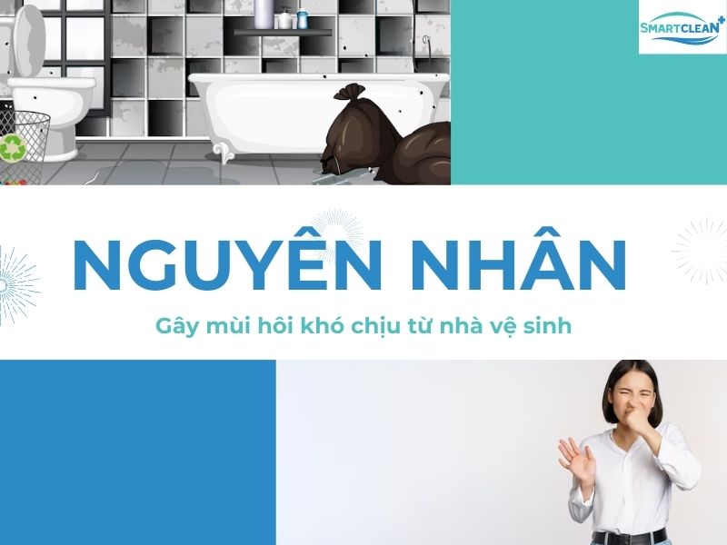 PHÁT HIỆN NGUYÊN NH N G Y MÙI HÔI ĐỂ KHỬ MÙI HÔI NHÀ VỆ SINH KỊP THỜI