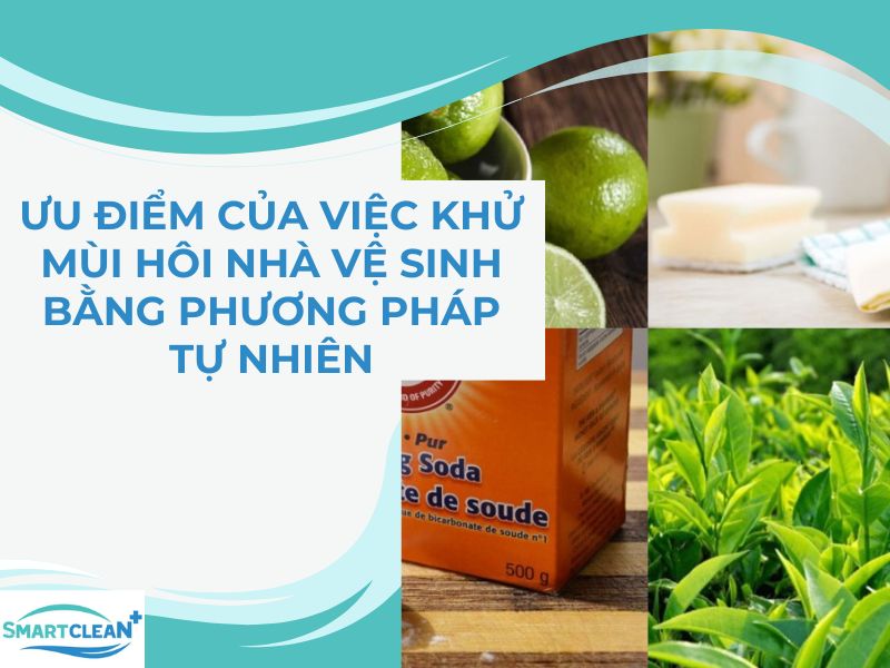 Ưu điểm của việc khử mùi hôi nhà vệ sinh bằng phương pháp tự nhiên