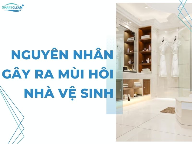 Xác định nguyên nhân để kịp xử lý khử mùi hôi nhà vệ sinh