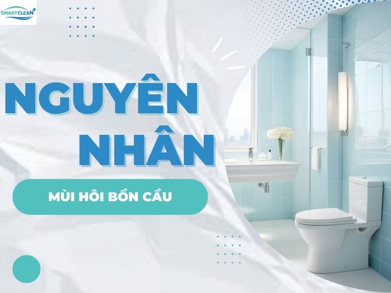 NGUYÊN NH N CHÍNH G Y MÙI HÔI CẦN PHẢI KHỬ MÙI HÔI BỒN CẦU.