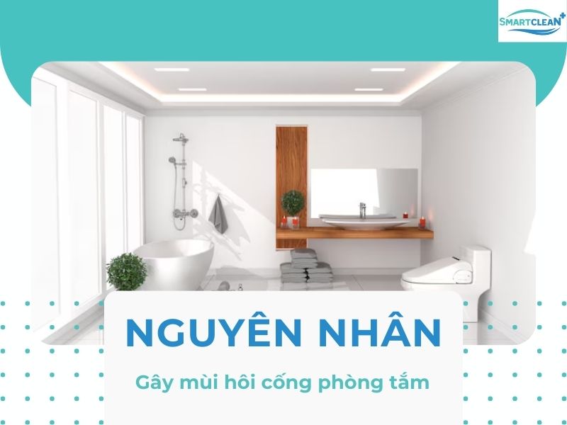 NGUYÊN NH N G Y MÙI HÔI CỐNG TRONG NHÀ TẮM NẾU KHÔNG KHỬ MÙI HÔI CỐNG THƯỜNG XUYÊN