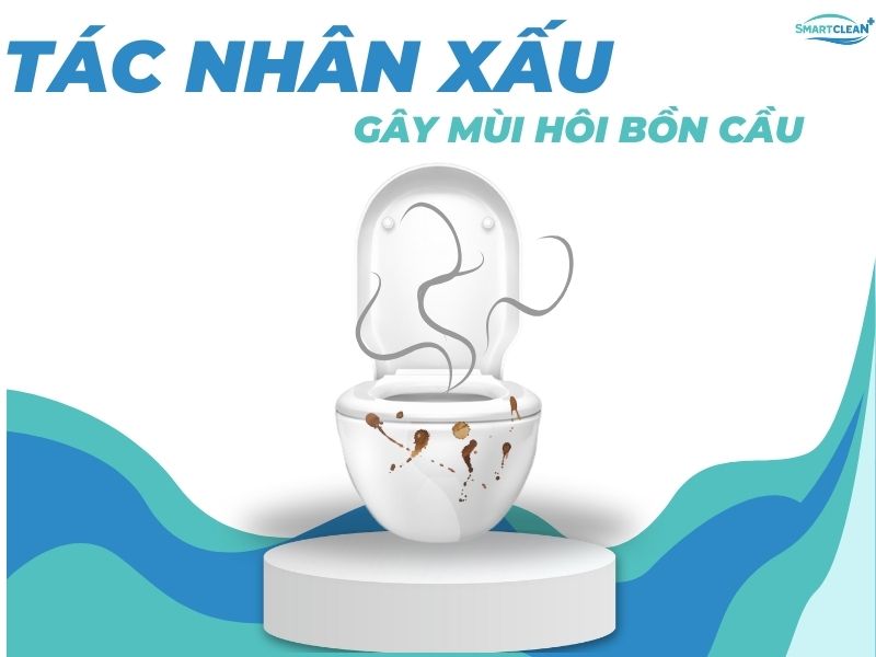 CÁC YẾU TỐ ẢNH HƯỞNG ĐẾN MỨC ĐỘ MÙI HÔI KHI KHÔNG KHỬ MÙI HÔI BỒN CẦU