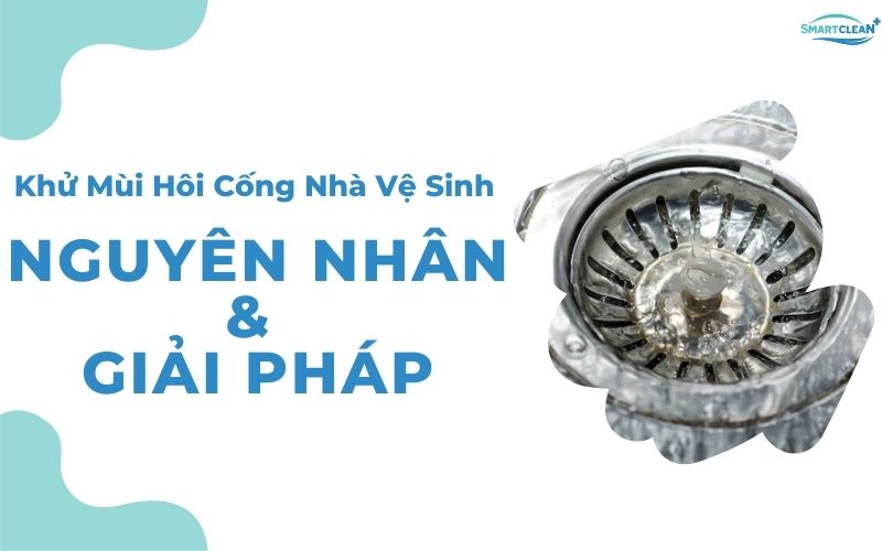 Khử Mùi Hôi Cống Nhà Vệ Sinh Hiệu Quả: Nguyên Nhân Và Cách Xử Lý