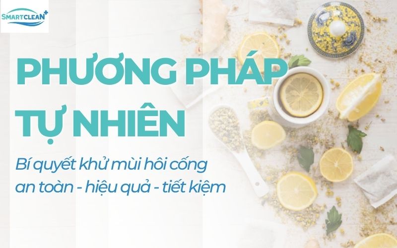 Cách Khử Mùi Hôi Cống Hiệu Quả Bằng Các Phương Pháp Tự Nhiên