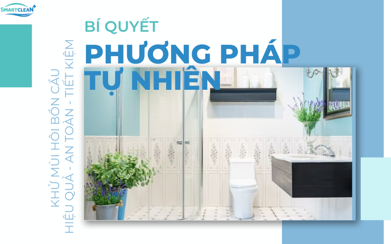 Bí Quyết Khử Mùi Hôi Bồn Cầu Hiệu Quả Bằng Nguyên Liệu Tự Nhiên - An Toàn, Tiết Kiệm