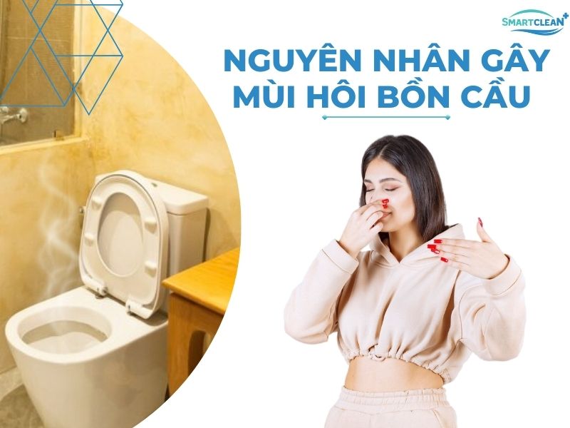 KHỬ MÙI HÔI BỒN CẦU - NGUYÊN NH N CỦA VẤN ĐỀ NAN GIẢI CỦA MỌI NHÀ