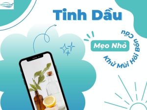 Mẹo Nhỏ Để Sử Dụng Tinh Dầu Khử Mùi Hôi Bồn Cầu Hiệu Quả