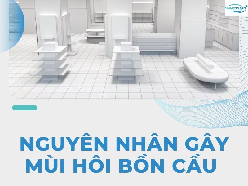 Một số nguyên nhân cơ bản gây ra mùi và cần phải khử mùi hôi bồn cầu