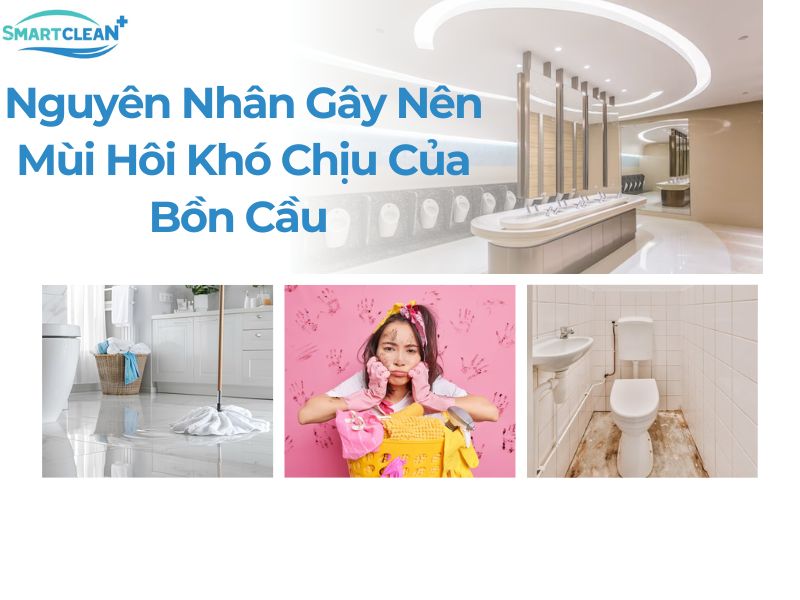 NGUYÊN NHÂN GÂY MÙI HÔI BỒN CẦU CẦN PHẢI KHỬ MÙI HÔI BỒN CẦU