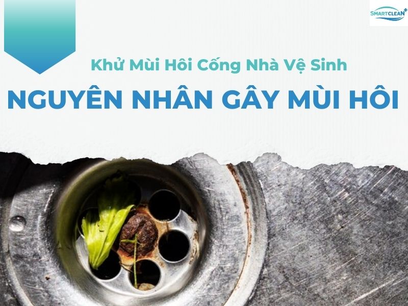 NGUYÊN NHÂN GÂY MÙI HÔI CỐNG TRONG NHÀ VỆ SINH