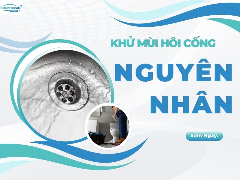 NGUYÊN NHÂN GÂY MÙI KHÓ CHỊU NẾU KHÔNG KHỬ MÙI HÔI CỐNG THƯỜNG XUYÊN