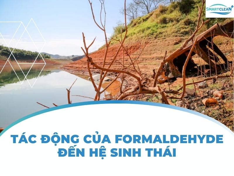 TÁC ĐỘNG CỦA FORMALDEHYDE ĐẾN HỆ SINH THÁI