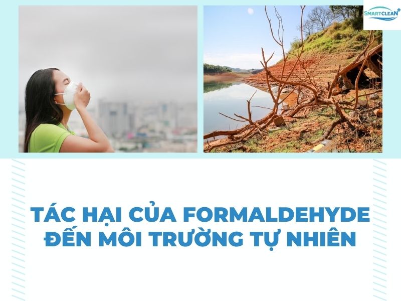 Tác Hại của Formaldehyde Đến Môi Trường Tự Nhiên