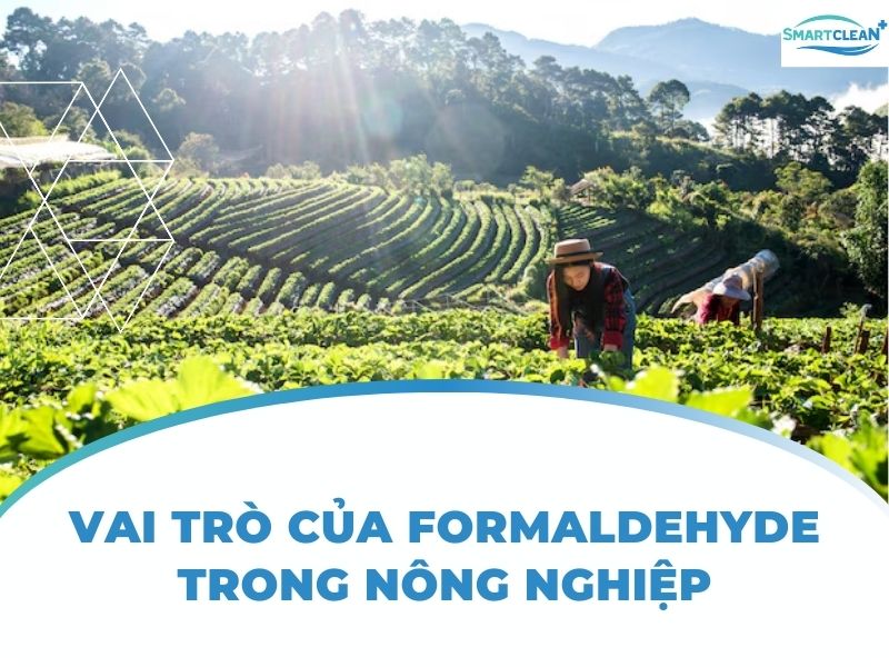 VAI TRÒ CỦA FORMALDEHYDE TRONG NÔNG NGHIỆP