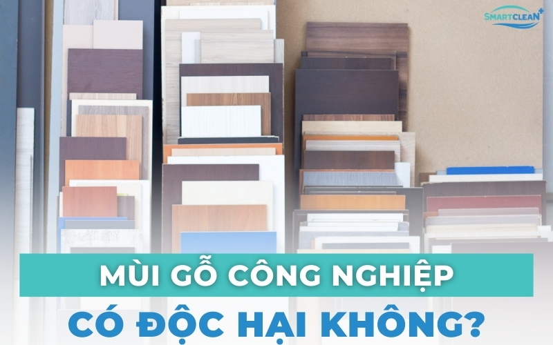 mùi gỗ công nghiệp từ đâu mà có (2)