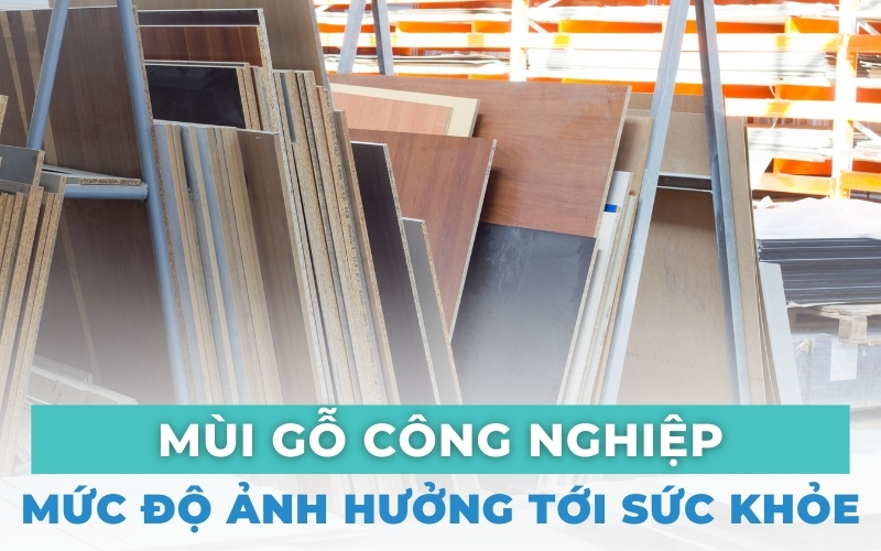 mùi gỗ công nghiệp từ đâu mà có (3)