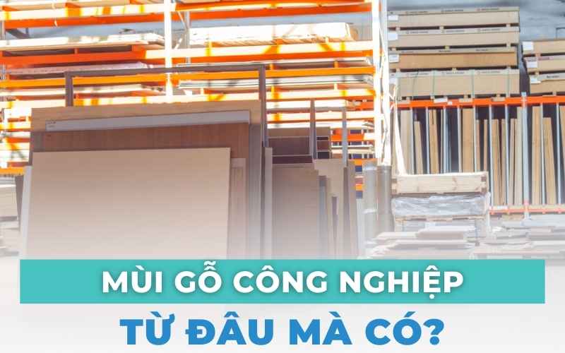 mùi gỗ công nghiệp từ đâu mà có