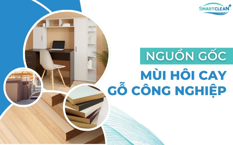 nguồn gốc mùi hăng cay gỗ công nghiệp