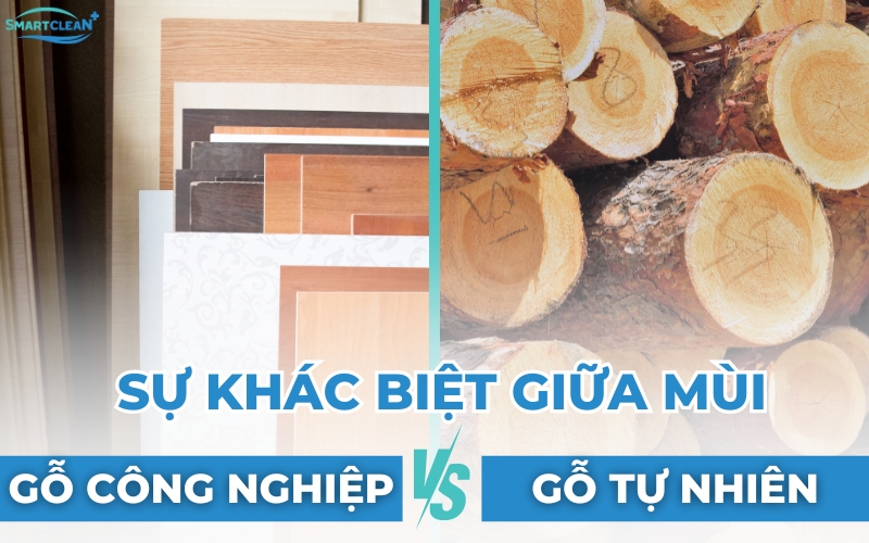 phân biệt mùi gỗ công nghiệp và gỗ tự nhiên