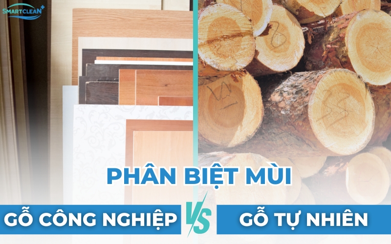 phân biệt mùi gỗ công nghiệp và gỗ tự nhiên