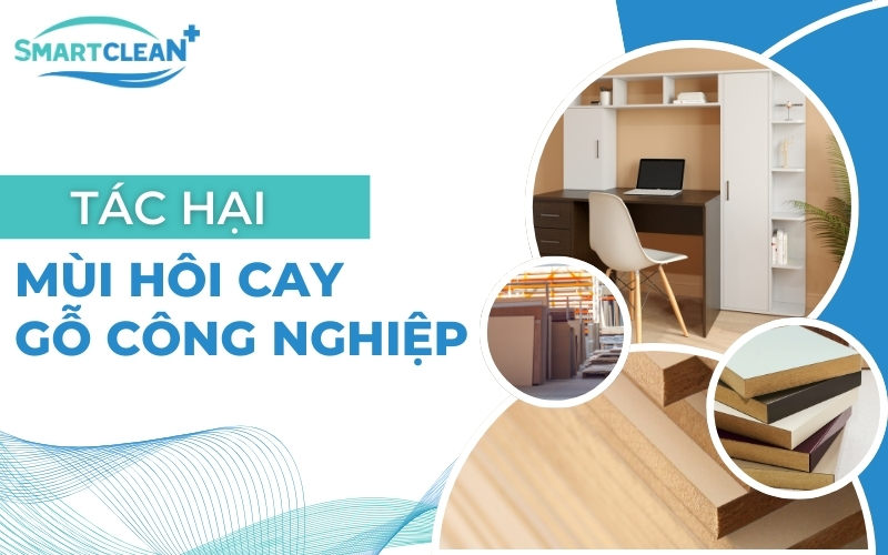 tác hại mùi hôi cay gỗ công nghiệp