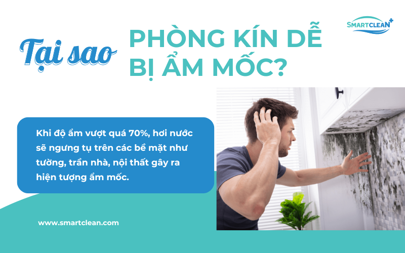 tai-sao-phong-kin-de-bi-am-moc