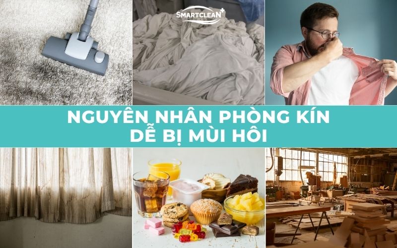 nguyen-nhan-phong-kin-de-co-mui-hoi