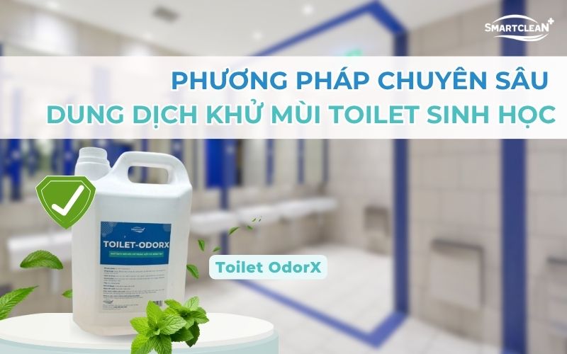 phuong-phap-chuyen-sau-dung-dich-khu-mui-sinh-hoc