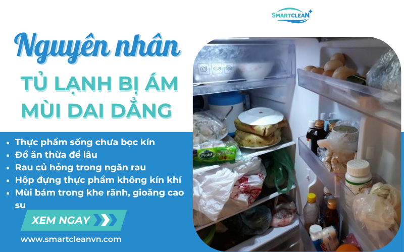 nguyen-nhan-tu-lanh-bi-am-mui
