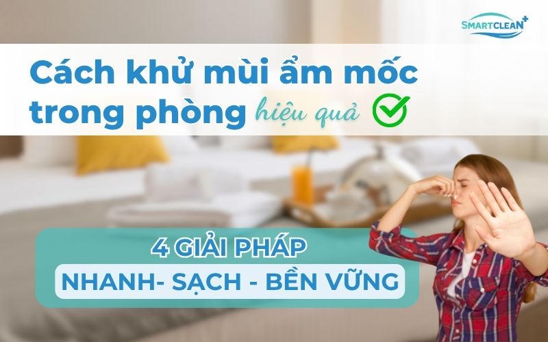 cach-khu-mui-am-moc-trong-phong-hieu-qua