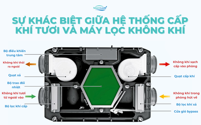 su-khac-biet-giua-may-tao-khi-sach-va-may-loc-khong-khi