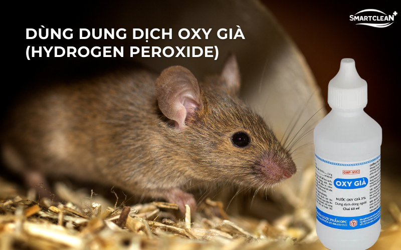 dung-dich-oxy-gia-lam-sach
