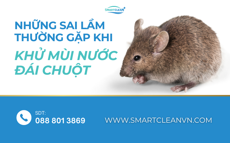 nhung-sai-lam-khi-khu-mui-nuoc-tieu-chuot