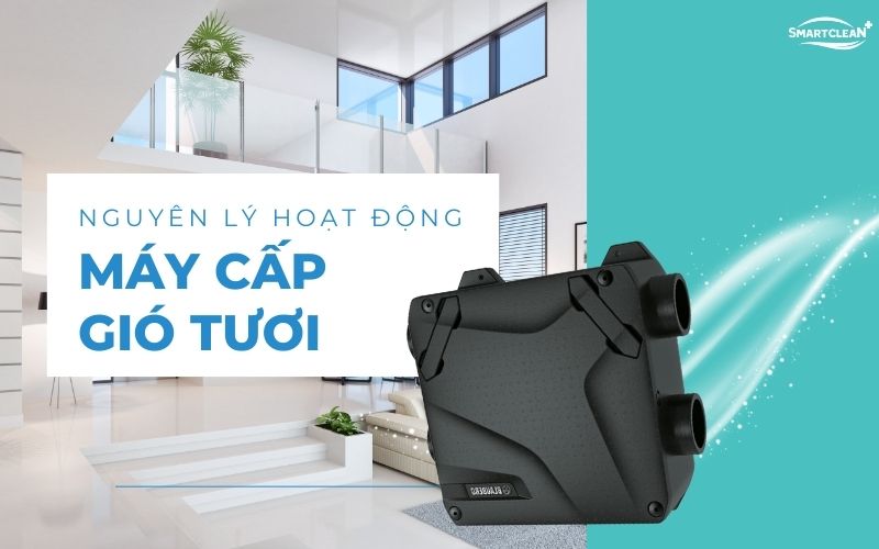 nguyen-ly-hoat-dong-cua-may-cap-khi-moi