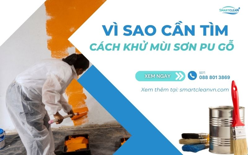 vi-sao-can-tim-cach-khu-mui-son-pu-go