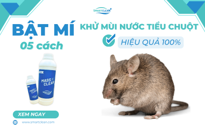 5-cach-khu-mui-nuoc-tieu-chuot