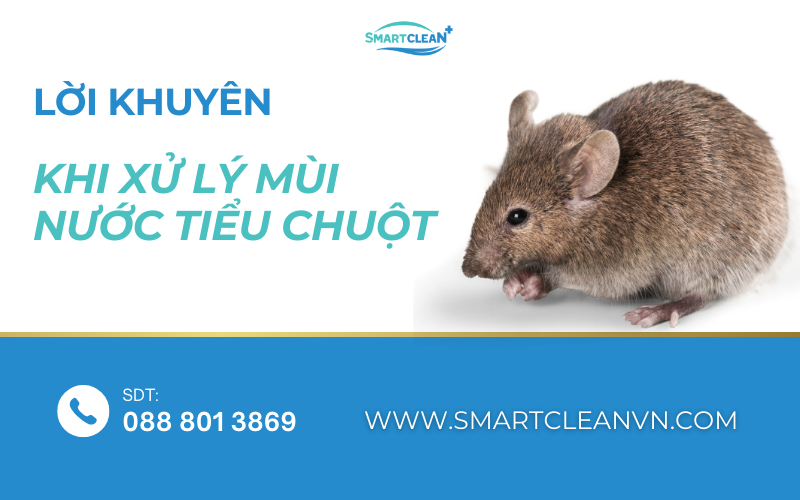 loi-khuyen-khi-xu-ly-mui