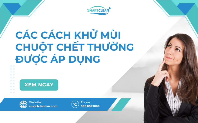 cac-cach-khu-mui-chuot-chet
