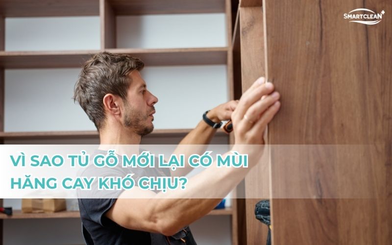 vi-sao-tu-go-lai-co-mui-hang-cay-kho-chiu