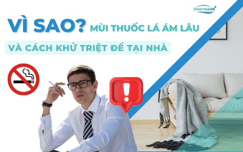 vi-sao-mui-thuoc-la-am-lau-va-cach-khu-triet-de-tai-nha