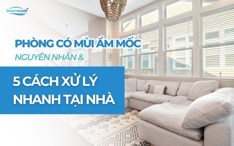 phong-co-mui-am-moc-nguyen-nhan-va-cach-xu-ly-tai-nha