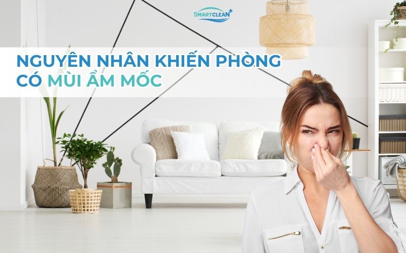 nguyen-nhan-khien-phong-co-mui-am-moc