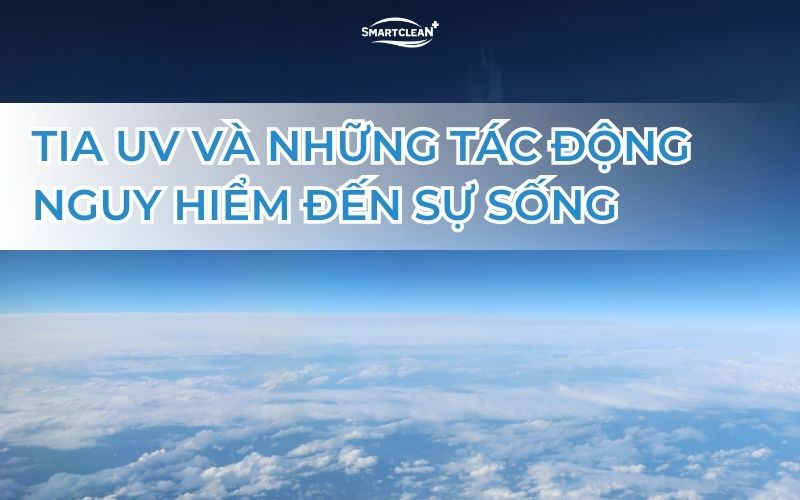 tia-uv-va-nhung-tac-dong-nguy-hiem-den-su-song