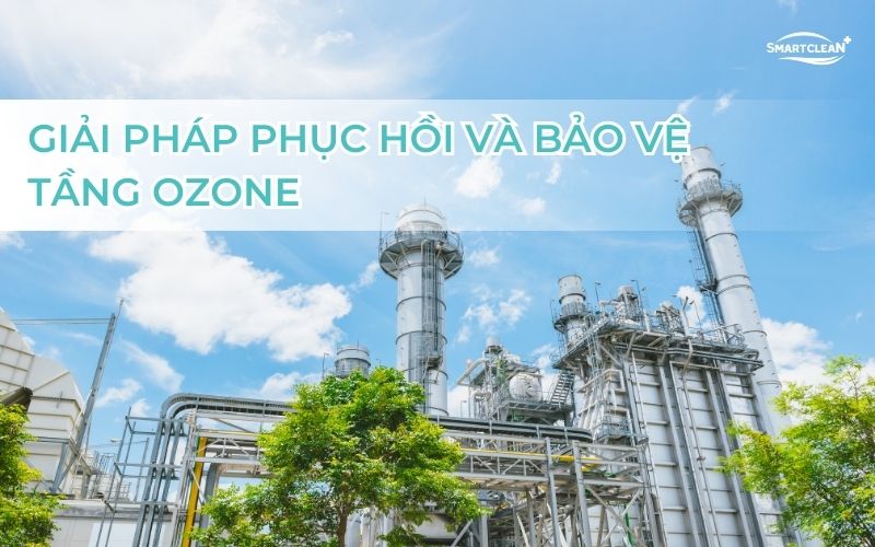 giai-phap-phuc-hoi-va-bao-ve-trai-dat