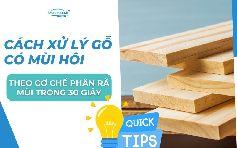 cach-xu-ly-go-co-mui-hoi-theo-co-che-phan-ra-mui-trong-30s