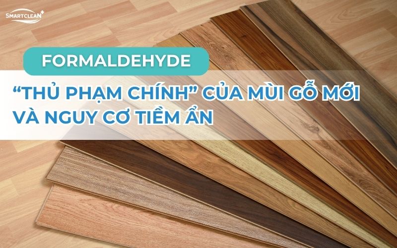 formaldehyde-thu-pham-chinh-cua-mui-hoi-noi-that-va-nguy-co-tiem-an