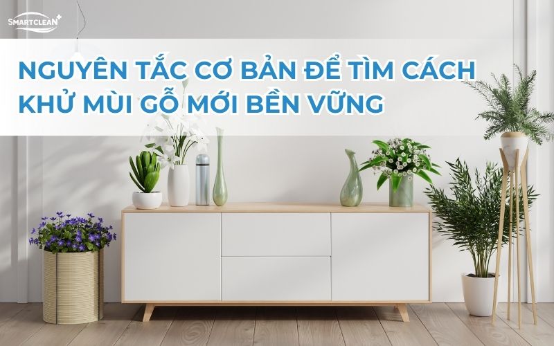 nguyen-tac-co-ban-de-tim-cach-khu-mui-noi-that-ben-vung